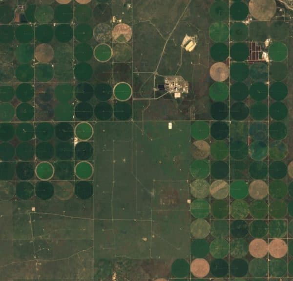 Satellite view of circular irrigated crop fields in Kansas
